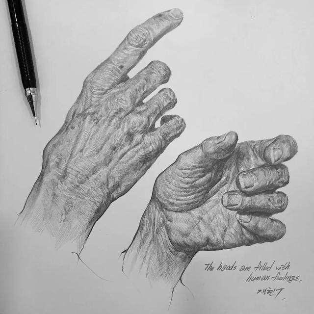 素描技巧和画法，画好素描的步骤（素描丨画好素描不是一蹴而就的）