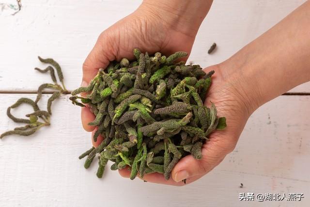 菜图片大全大图，饭店菜谱大全带图片（这43种时令野菜大量生长出来）