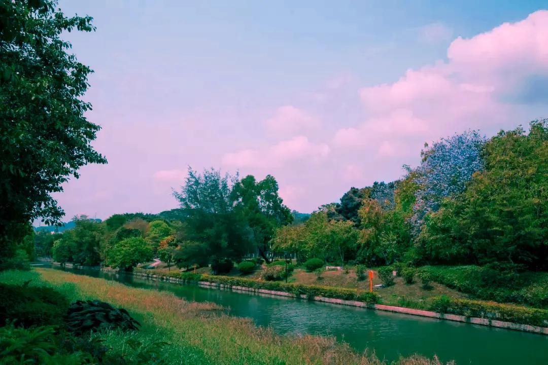 深圳人最爱的14个免费钓鱼打卡地，亲水休闲好去处，周末放松不花钱！