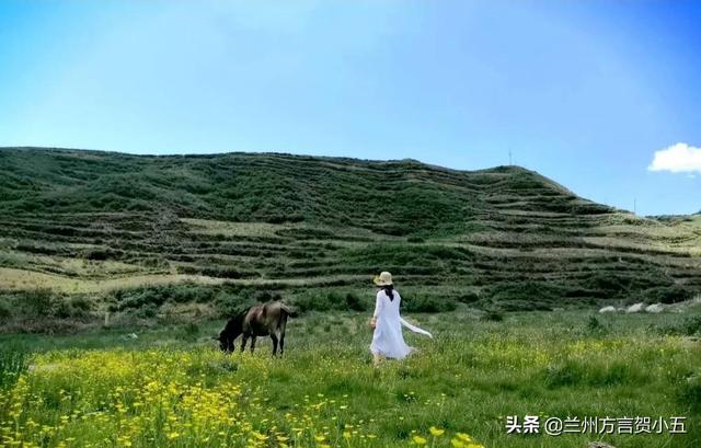 兰州话方言大全，兰州方言流传下来的民间俗语