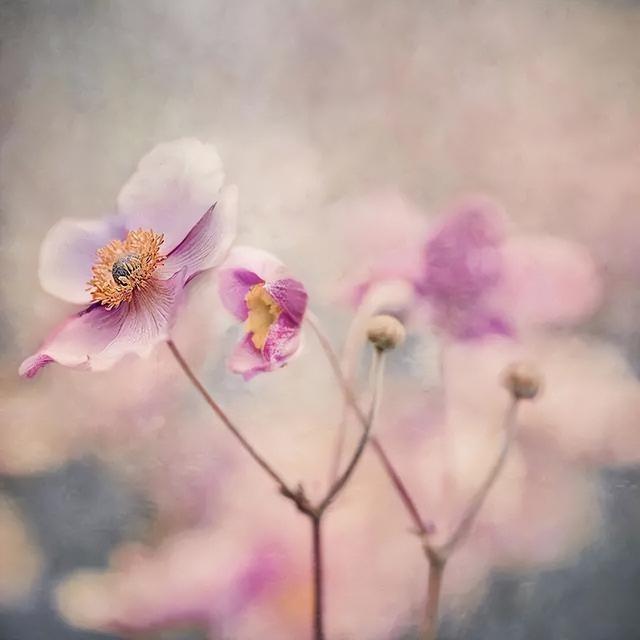 人生哲理美文摘抄，富含哲理经典美文摘抄大全（句句发人深省的人生哲理）