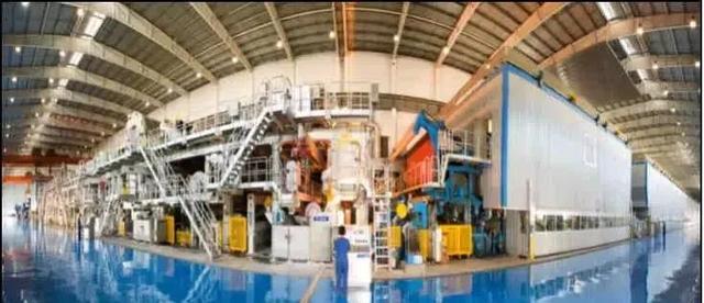 生长最快的桉树苗是哪个品种，速生桉一亩可种多少棵（又将迎来种植速生桉的新一轮热潮）