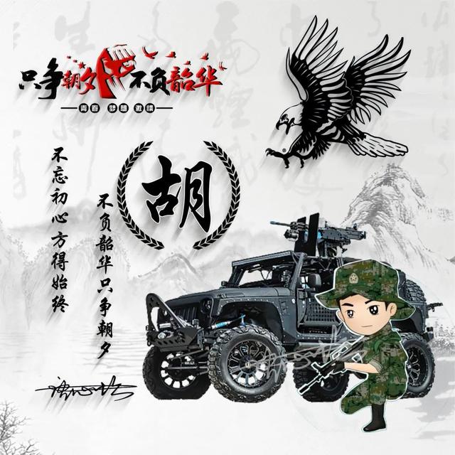 牛马头像微信，牛马头像（60款军人专用头像送给你）