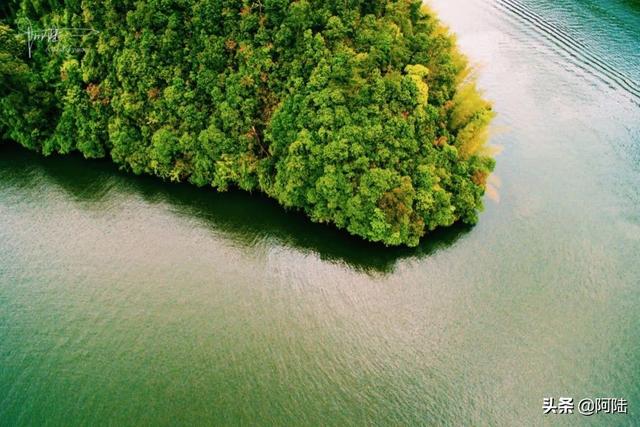 关于诸暨五泄风景区介绍，诸暨五泄风景区图片（今年的船票价格涨了一倍）