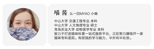 如何读懂猫的叫声语言，猫的叫声对话（一次性教你看懂猫咪语言）