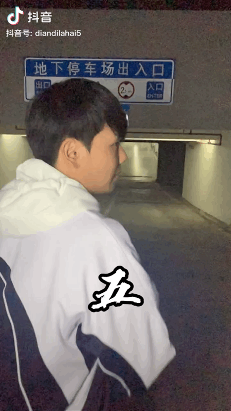 扑棱蛾子是什么梗，扑棱蛾子是什么梗贝斯（听说他换头是靠p的）