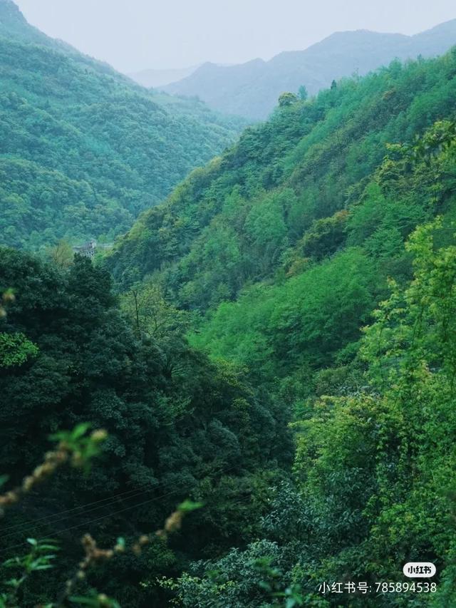 五一周边游玩景点，五一周边游玩景点大全贵州（成都周边12条小众徒步线路）