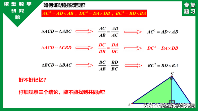 什么是数学上的射影定理，中考专题：射影定理小常识