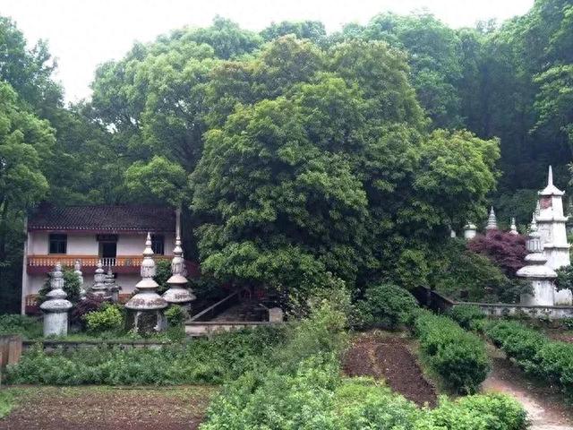 津市古大同记游