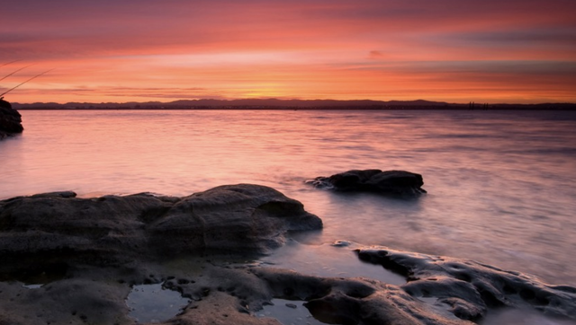 摩羯男的爱太疯狂了，摩羯男会因为性而爱上一个人吗（摩羯座疯狂爱上一个人时）
