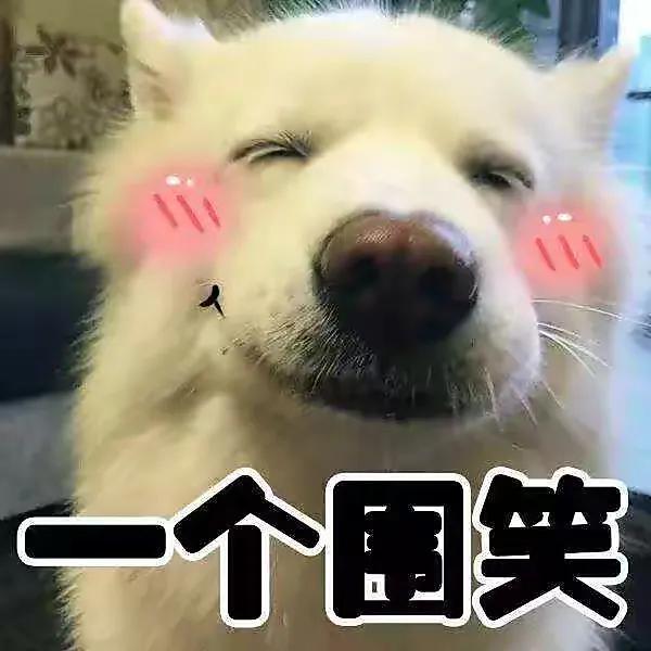 狗什么意思解释，狗字笔画笔顺（东北方言——“狗”的前世今生）