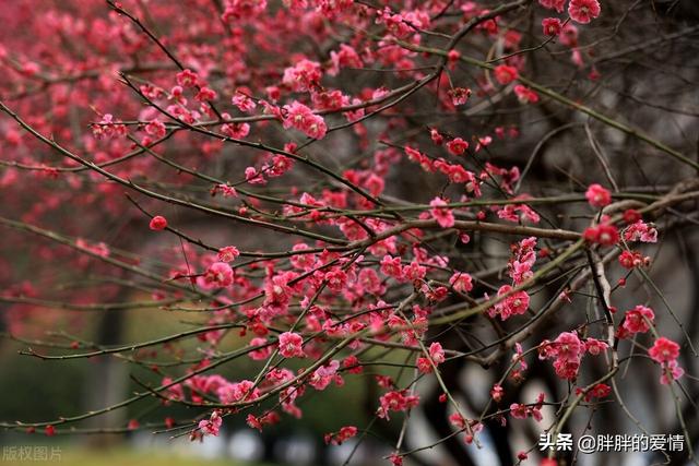 不辜负时光不辜负自己的句子，不辜负时光不辜负自己的句子有哪些（勿忘初心；好好爱自己）