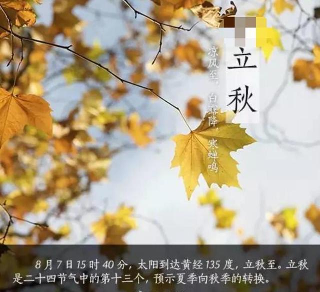 早立秋凉飕飕晚立秋热死牛什么意思，上午立秋凉飕飕下午立秋热死牛（晚立秋热死牛”是什么意思）