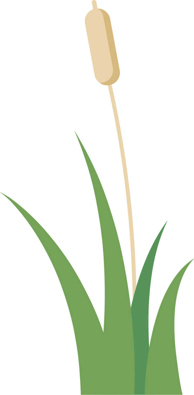 五一劳动节来源，五一劳动节的由来（五一劳动节的由来，你知道吗）