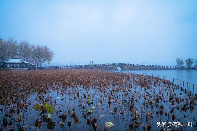 断桥是否下过雪，断桥残雪繁体的歌词（游客：断桥要被踩断了）