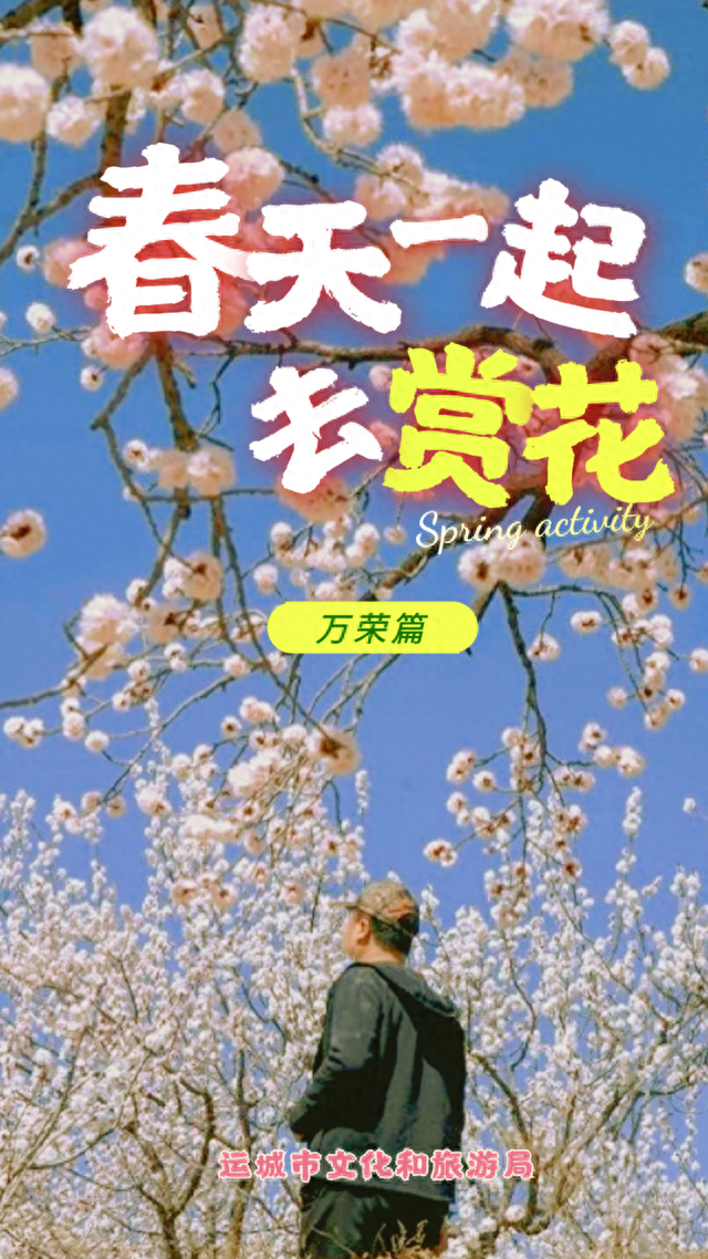 去万荣吧！赏花看景不负春日！