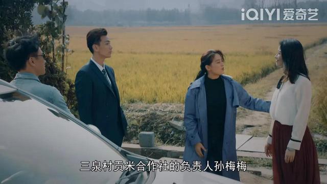 电视剧三泉溪暖，电视剧三泉溪暖一共多少集（无任何前期宣传的《三泉溪暖》）