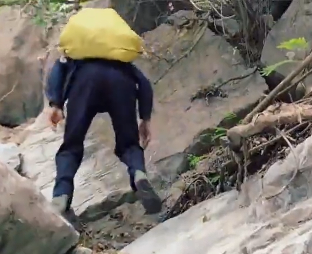 燕窝的价格，燕窝的价格表（贵的一斤卖2万6,两个儿子不愿意学,手艺即将失传）