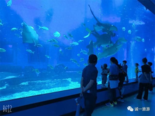 南宁极地海洋世界 一起探索奇妙的海底乐园