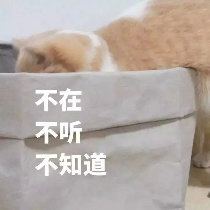 好看的表情包(10000种表情包图片大全)