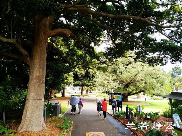 澳大利亚旅游景点，澳大利亚旅游景点英文（澳洲悉尼市区的几个大众化景点）