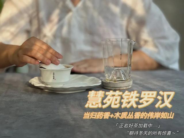 铁罗汉是什么茶，铁罗汉茶属于什么茶（不识慧苑老丛铁罗汉）