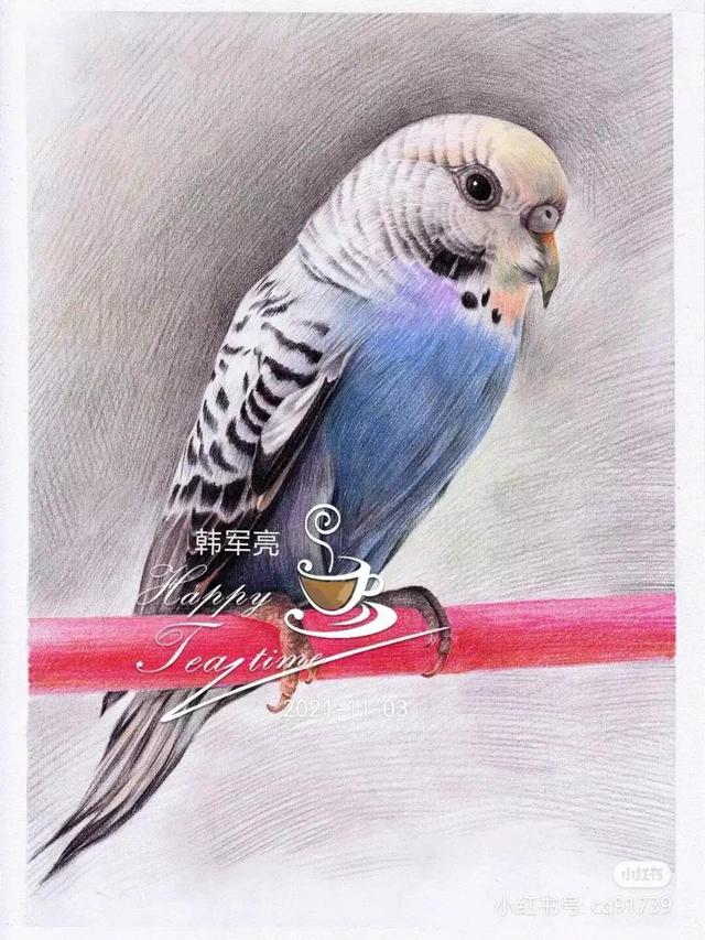 小鸟怎么画简单又好看，小鸟怎么画简单（彩铅绘画素材—身披彩翼）