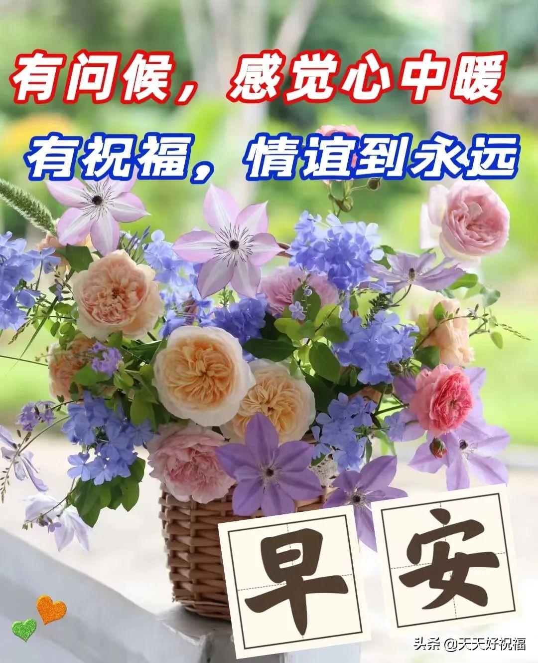 珍惜亲情的句子，珍惜亲情可贵的句子（感恩今生相遇的人。早上好）