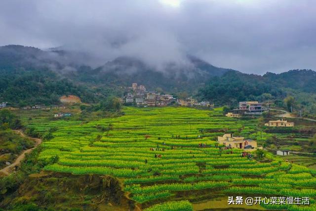 广西贵港旅游攻略，盘点20个值得一去的好地方