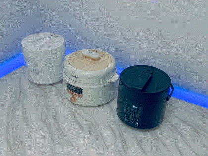 电压力锅炖排骨，电压力锅炖排骨做法（攻略+横评+实测）