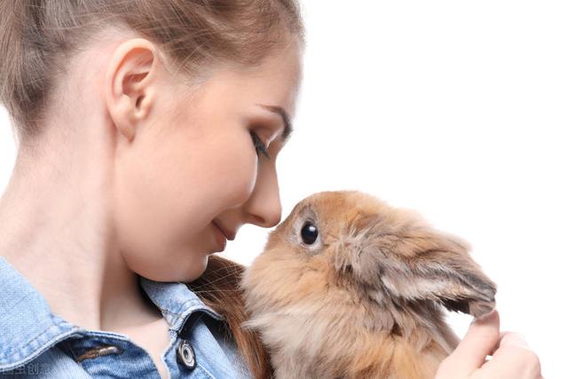 兔子喜欢吃什么食物，兔子最爱吃的十种食物（兔子喜欢吃什么草图片叫什么名字）