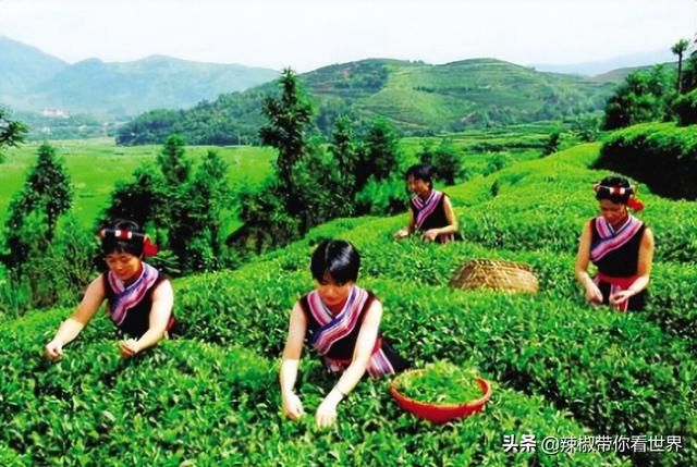 百里画廊是福建的哪一个城市，百里画廊之美誉位于哪里（“百里画廊”“闽东”宁德——是美味国鱼“大黄鱼”之乡）