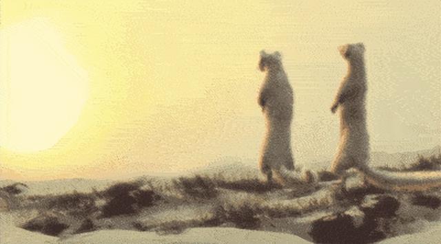刺猬是什么仙，江苏钓鱼佬被黄鼠狼“打劫”