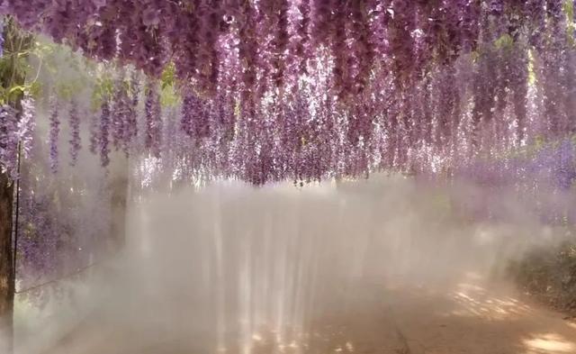 南昌梅岭旅游攻略 ，南昌梅岭旅游攻略路线（收下这份父亲节梅岭旅行攻略）