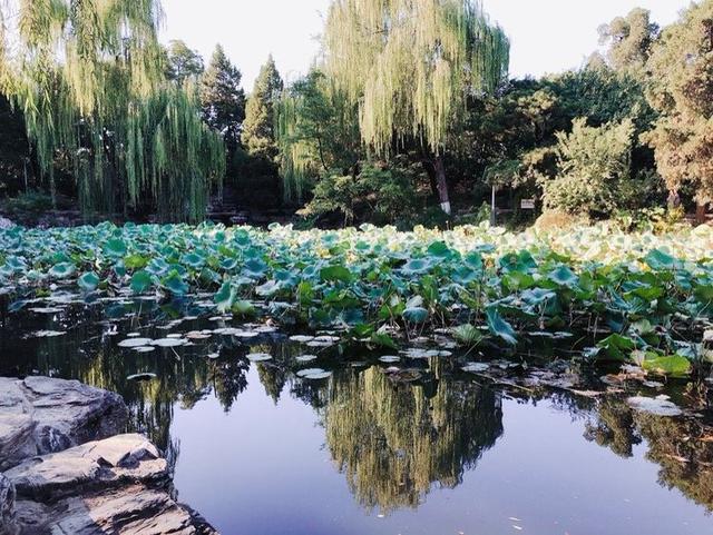 北京游玩攻略，北京攻略3日游自助游（这篇攻略全部告诉你）
