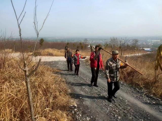 宝丰县属于哪个市，宝丰县在哪里（河南宝丰：严阵以待）