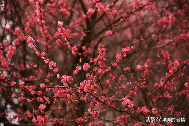 不辜负时光不辜负自己的句子，不辜负时光不辜负自己的句子有哪些（勿忘初心；好好爱自己）