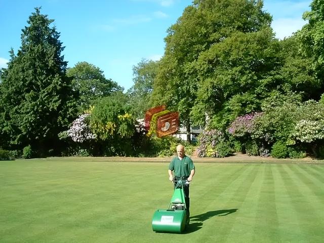 carrots是什么意思，carrots是什么意思英语（一年丢掉40%的食物）