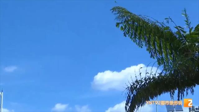 水煮鸡蛋煮几分钟，鸡蛋冷水下锅要煮几分钟（今天开启，长达20天）