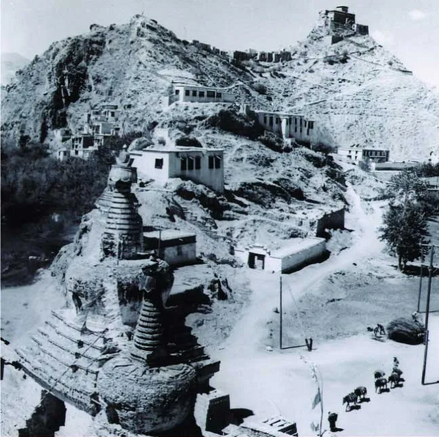 5月10日是什么日子，2022年5月10日是黄道吉日吗（新疆悍匪残忍杀害32岁副师长）