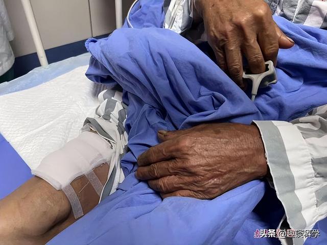 属蛇33岁鬼门关，属蛇2022年婚变（七旬老伯被追咬）