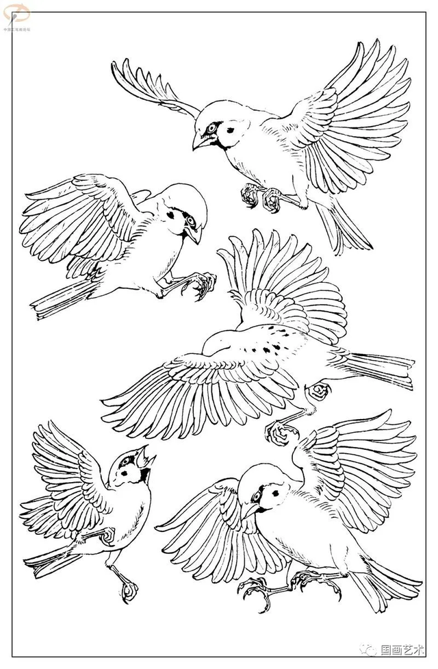 火的简笔画图片，火焰怎么画简笔画图片（画鸟参考——白描麻雀百图）