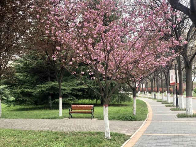 西安邮电大学专业，西安邮电大学有哪些专业（西安邮电大学新增9个一流本科专业建设点）