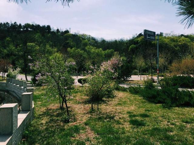 西宁旅游景点大全，青海旅游攻略必去景点大全（青海西宁自驾游景点推荐/游玩攻略）