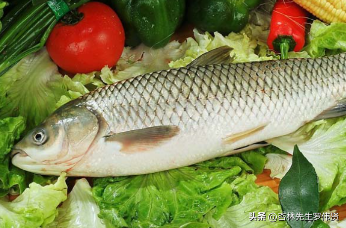 草鱼汤营养丰富，滋补强身，助消化增食欲，老少皆宜的养生佳品