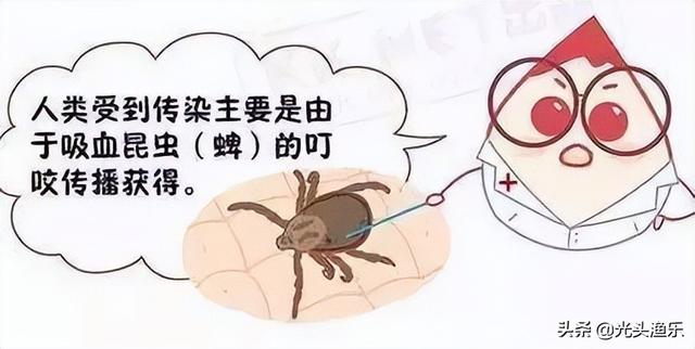 蜱虫有毒吗，蜱虫的危害（小时候拿来当“玩具”的蜱虫）