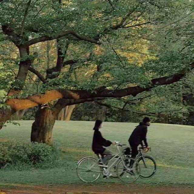 失望的网名，对一个人心寒失望的网名（文案丨“满眼失望的短句文案”）