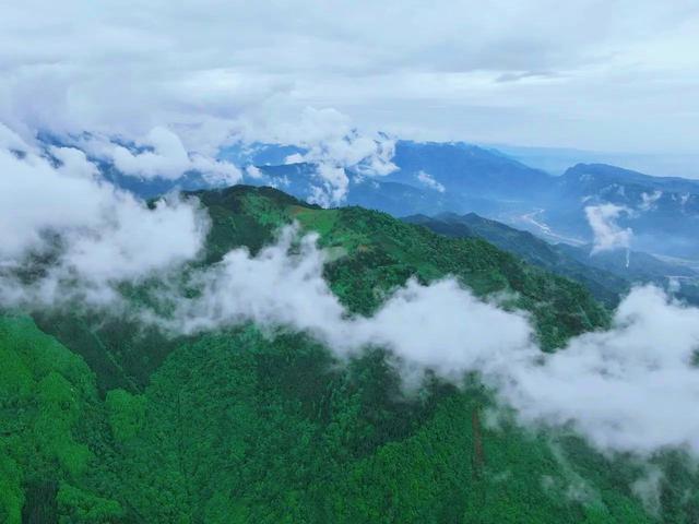 什邡市景点，什邡景点旅游景点（成都周边绝美“禁林”）