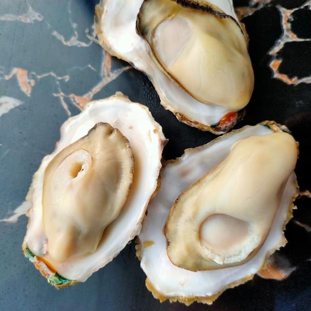 牡蛎怎么开壳，牡蛎怎么开壳清洗内脏（海蛎子<牡蛎、生蚝>怎么开壳）