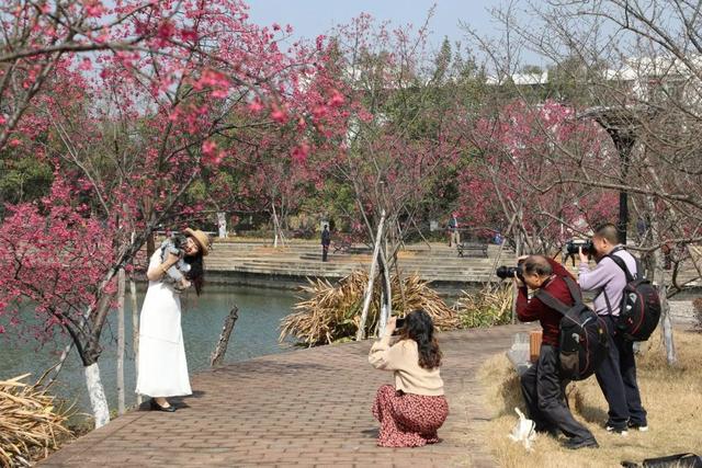 珠江职业技术学院，广州珠江职业技术学院2022年在专科院校中的排名（盘点19所建在大山里的大学）